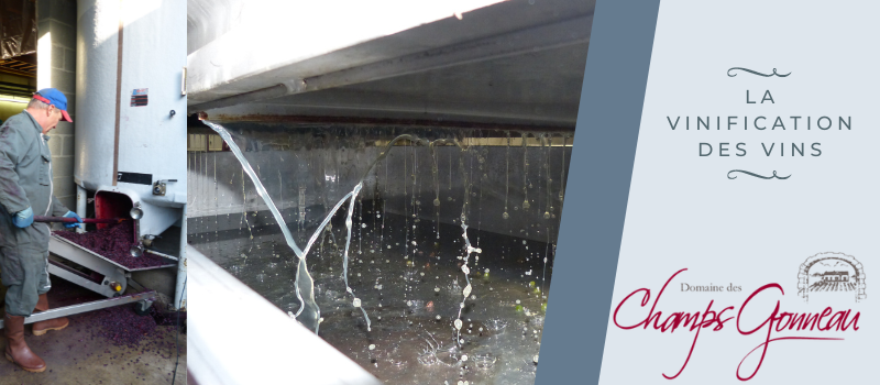 La vinification des vins