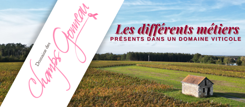 Les différents métiers présents dans un domaine viticole